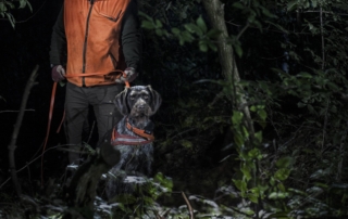 Schweiss-dog-handler_1 Professional schweiss dog handler using Suprabeam headlamp and flashlight